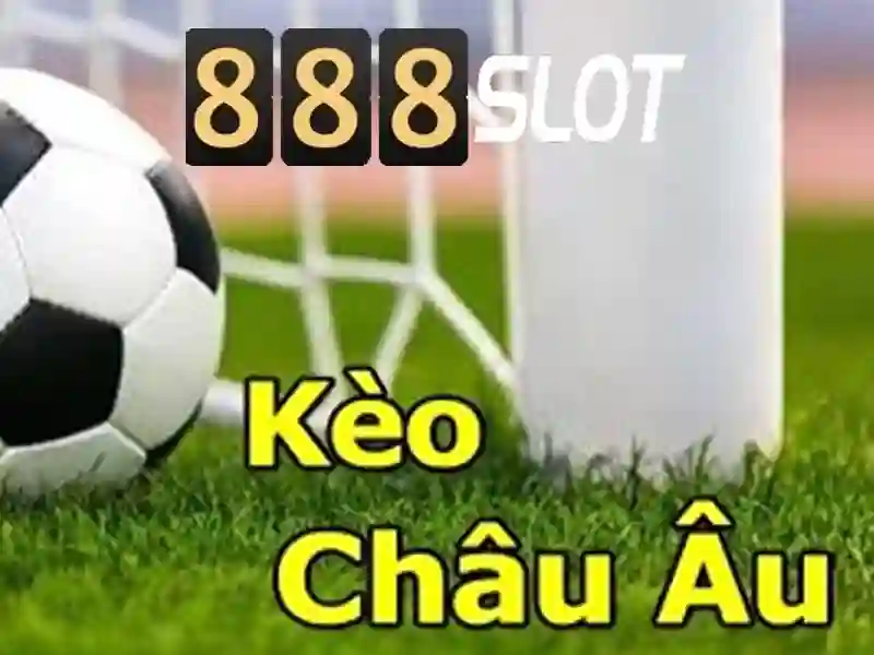 Trắc nghiệm và hỗ trợ