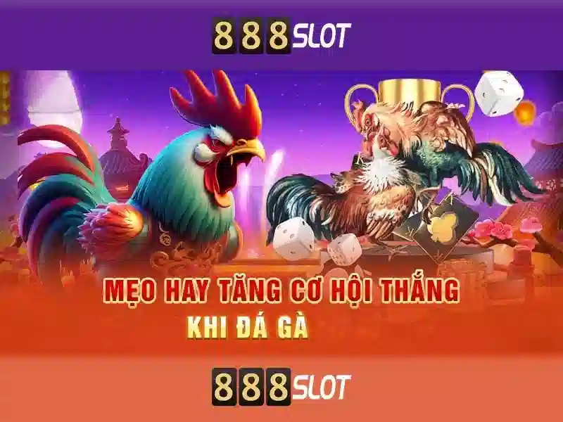 Trải nghiệm người dùng và giao diện