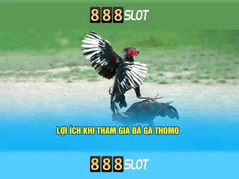 Hỗ trợ và thanh toán