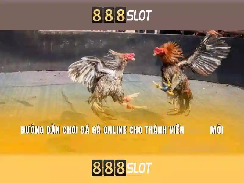 Giới thiệu về 888slot
