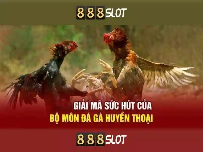 Trải nghiệm người dùng và hỗ trợ khách hàng
