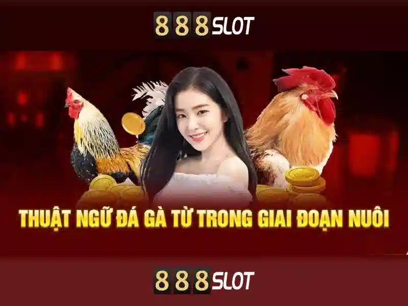 Khuyến mãi và cách tham gia