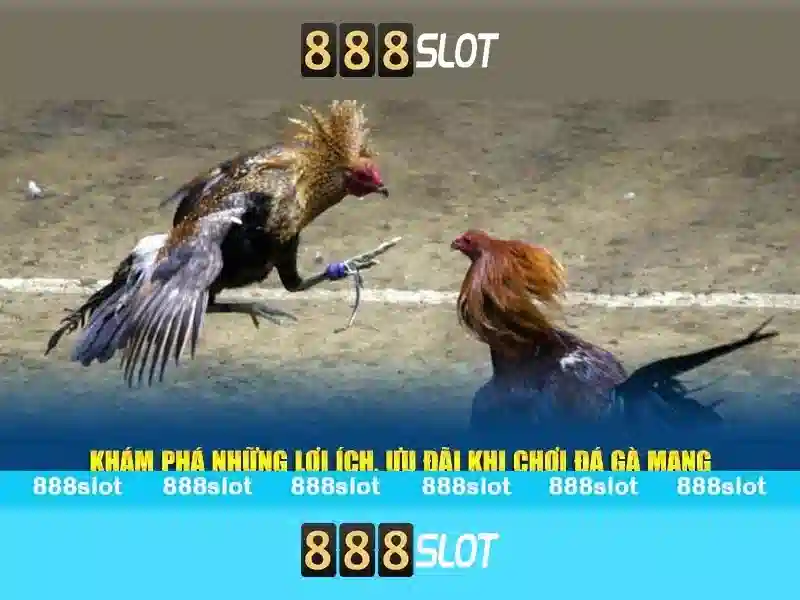 Mẹo chơi bắn cá 3 cây dễ ăn tiền nhà cái