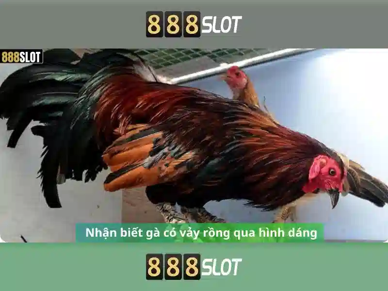 Danh mục trò chơi nổi bật