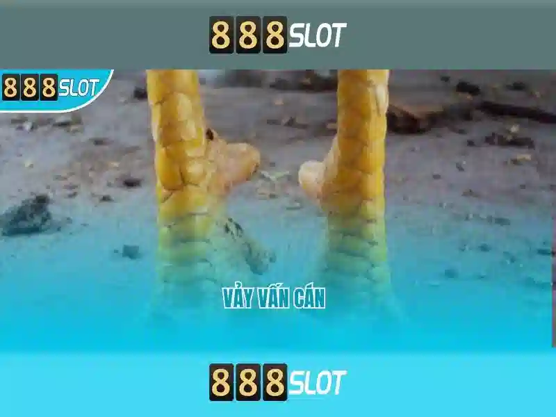 Các trò chơi và tính năng