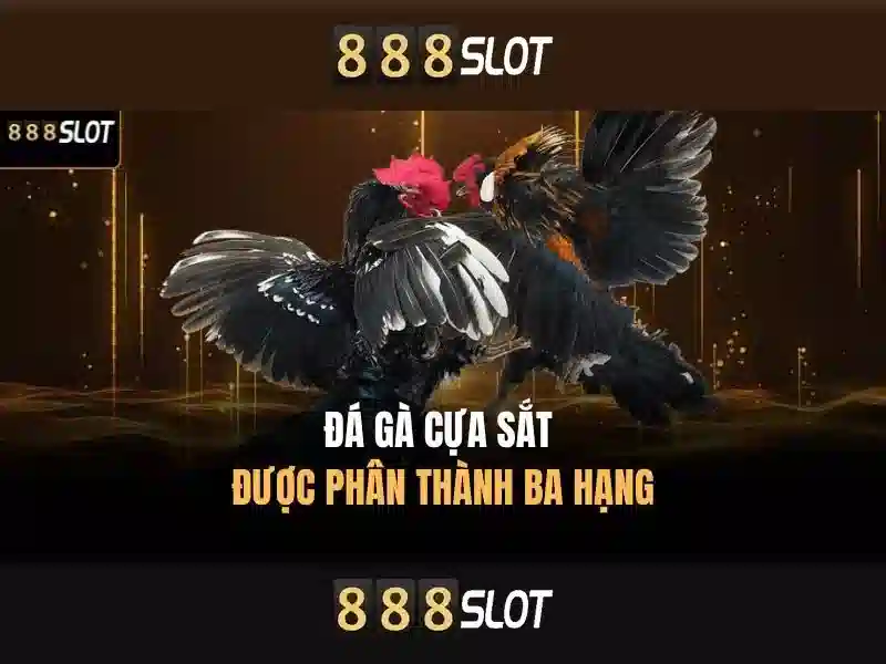 Trò chơi Slot nổi bật