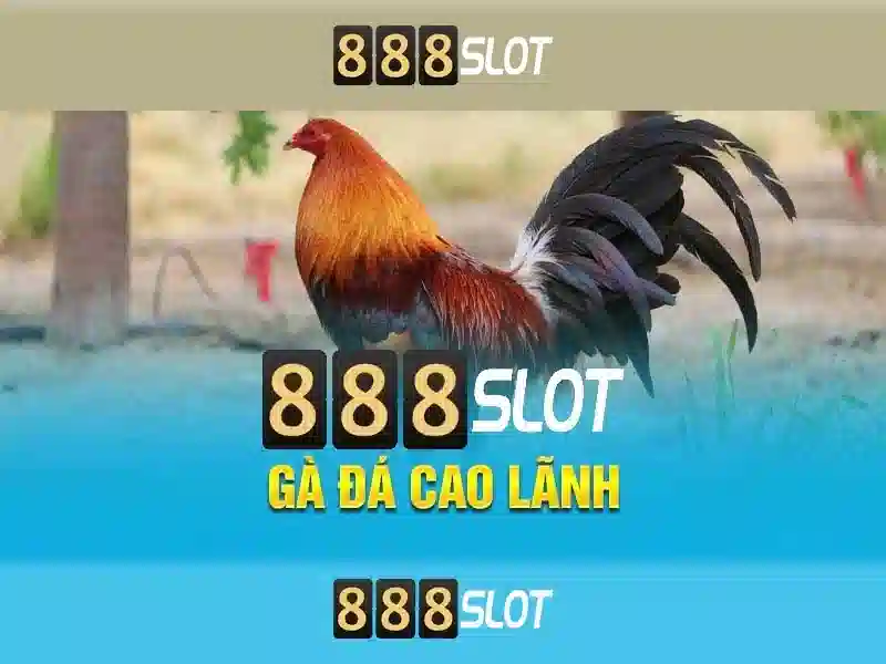 Thông tin an toàn và trách nhiệm cá cược