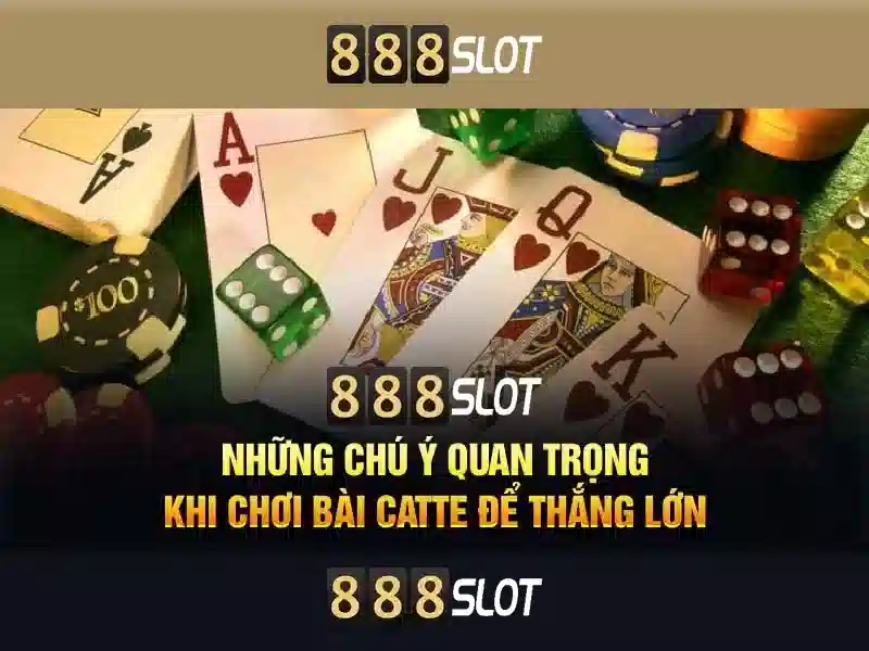 Khuyến mãi và chương trình cashback
