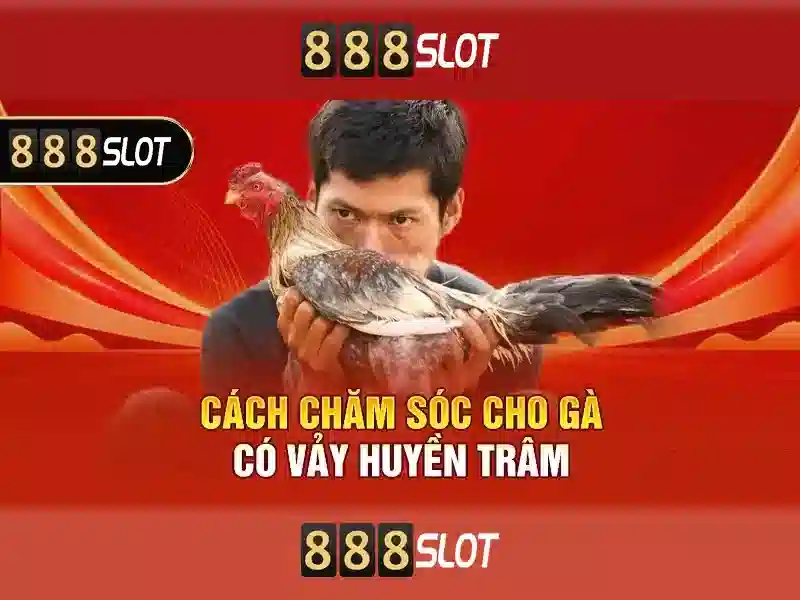 888slot: Đánh giá chi tiết và trải nghiệm người chơi