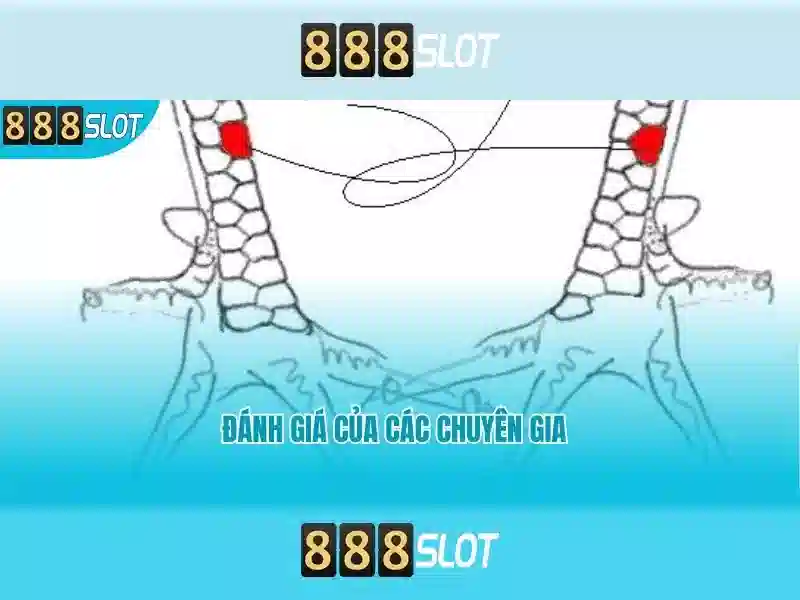 An toàn thanh toán và chương trình khuyến mãi