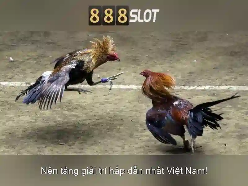 Giới thiệu về 888slot