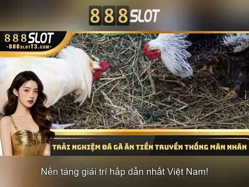 an-toan-du-lieu-888slot