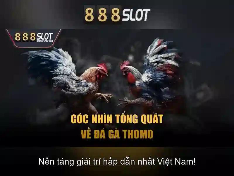 888slot: Đánh giá tổng quan và trải nghiệm