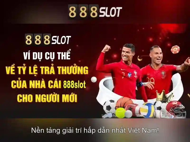 Tong quan dieu khoan su dung tai nha cai 888slot