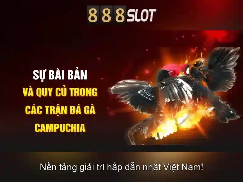 Lời kết và lưu ý