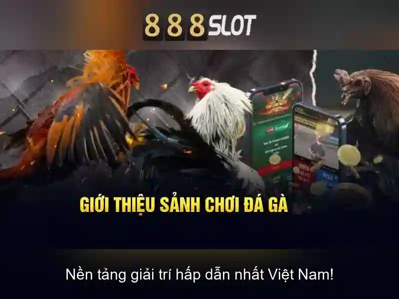 Giao diện người dùng và trải nghiệm Giao diện người dùng và trải nghiệm