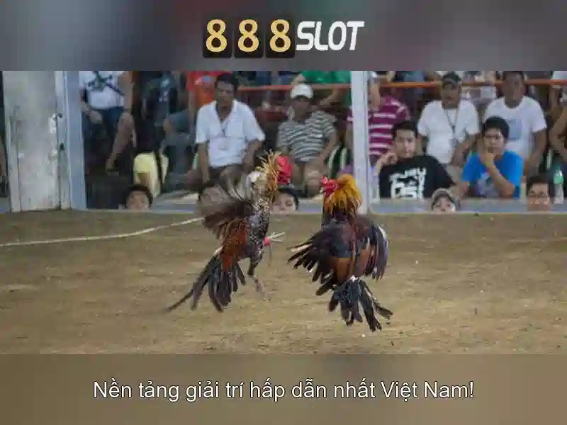 Trải nghiệm trò chơi slot tại 888slot