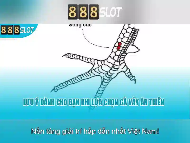 Các trò chơi phổ biến tại 888slot